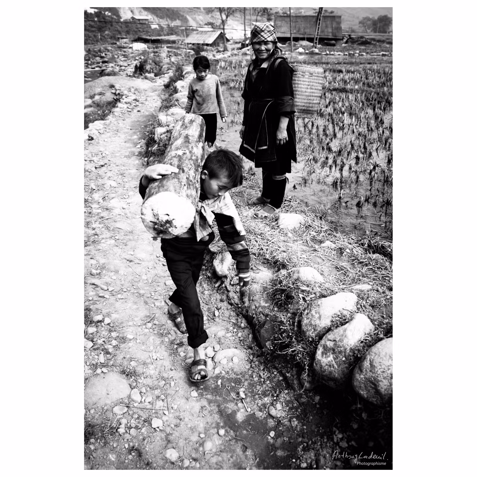 enfant vietnamien portant un gros tronc d'arbre en souriant sur un chemin