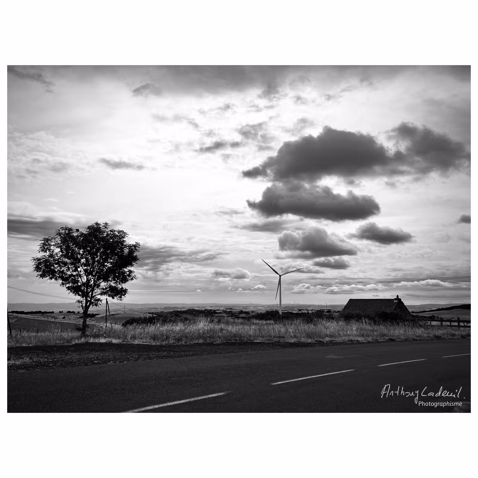 paysage en noir et blanc avec un arbre, une éolienne, un cabane