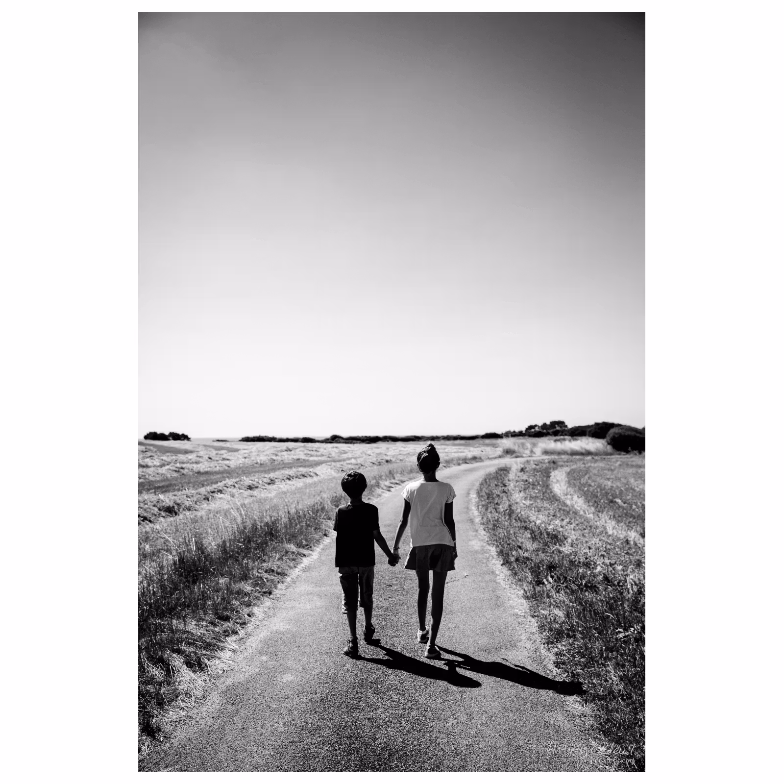 deux enfants de dos se tenant par la main sur une route de campagne