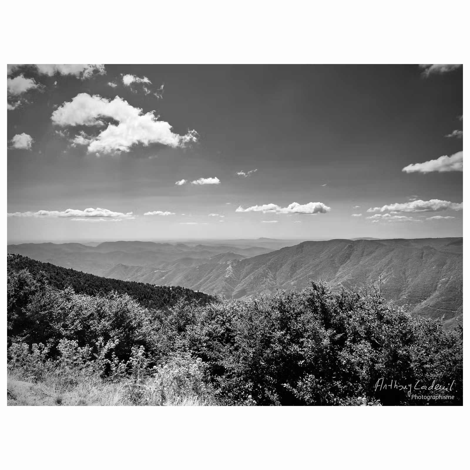 Vue panoramique du haut du mont Aigual