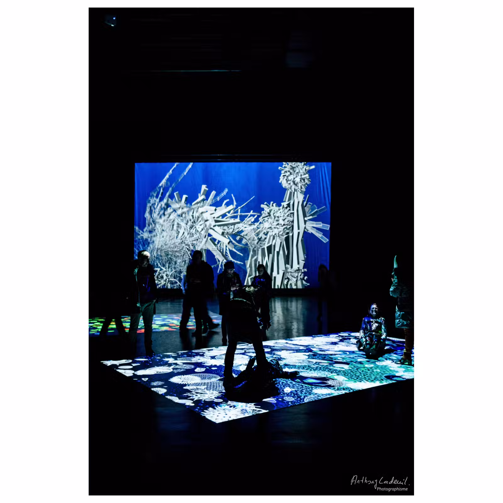 personnes en ombres sur une installation lumineuse dans une exposition