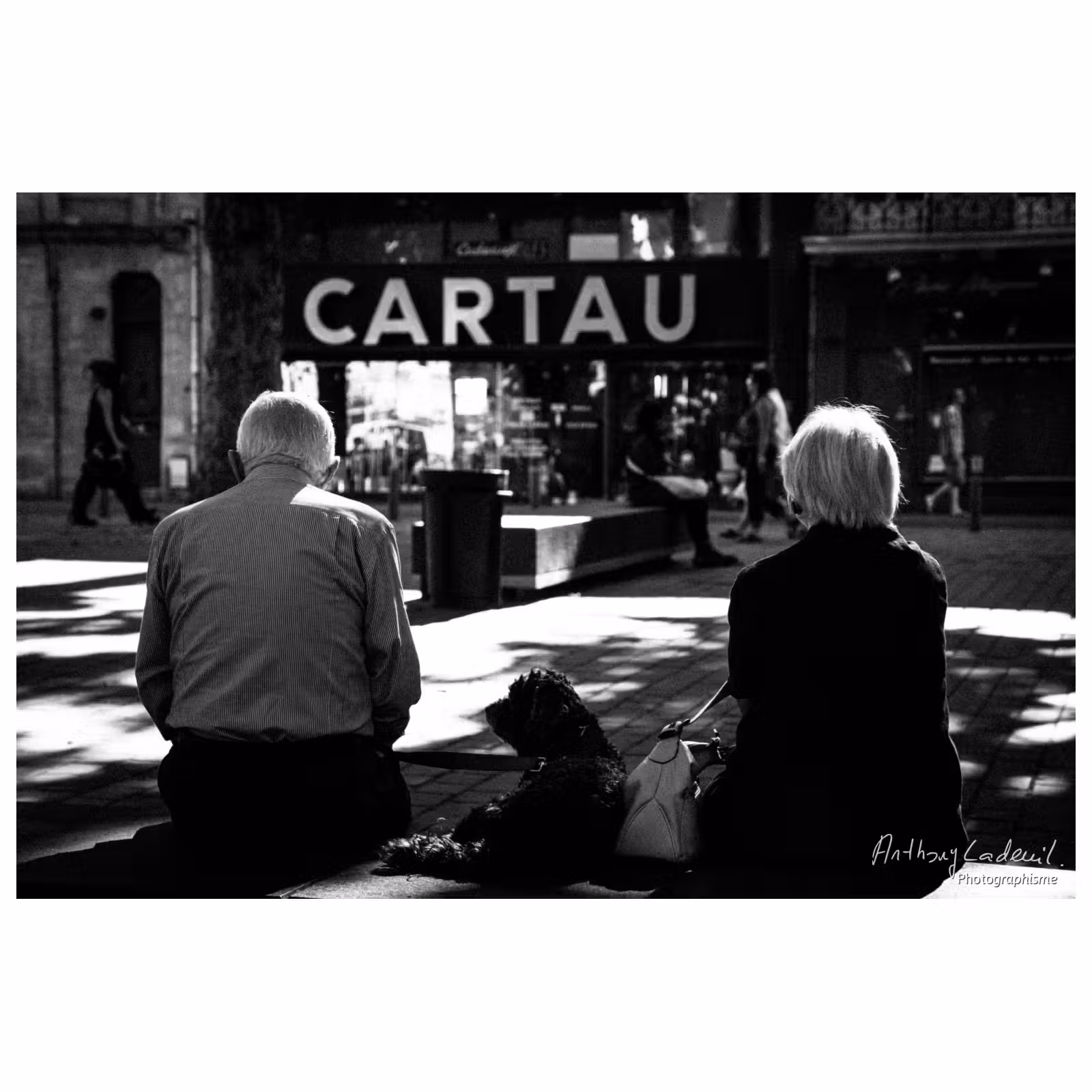 un couple de personnes âgées et leur chien assis sur un banc