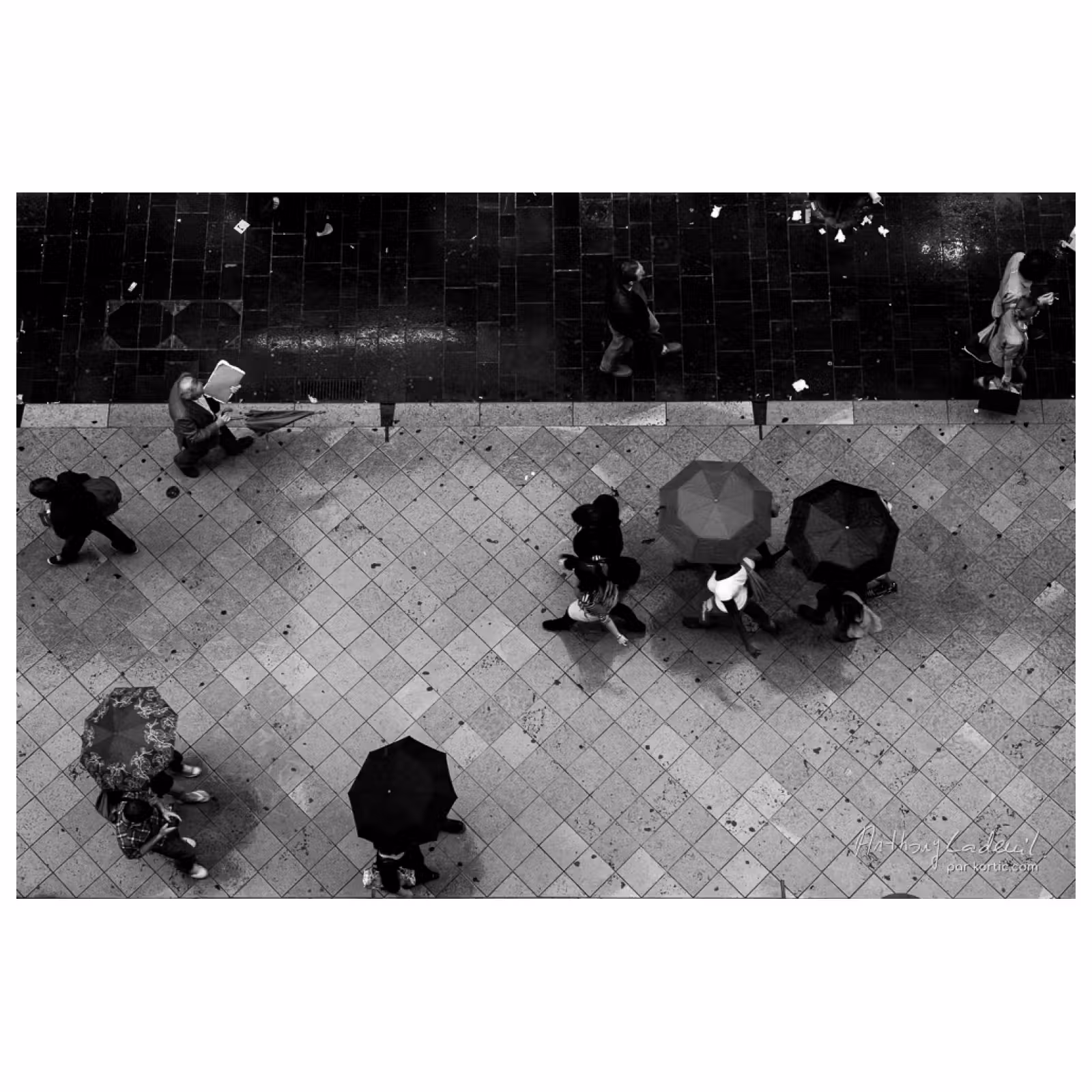 Photographie en plongée d'une rue ou des personnes marchent en file avec des parapluies