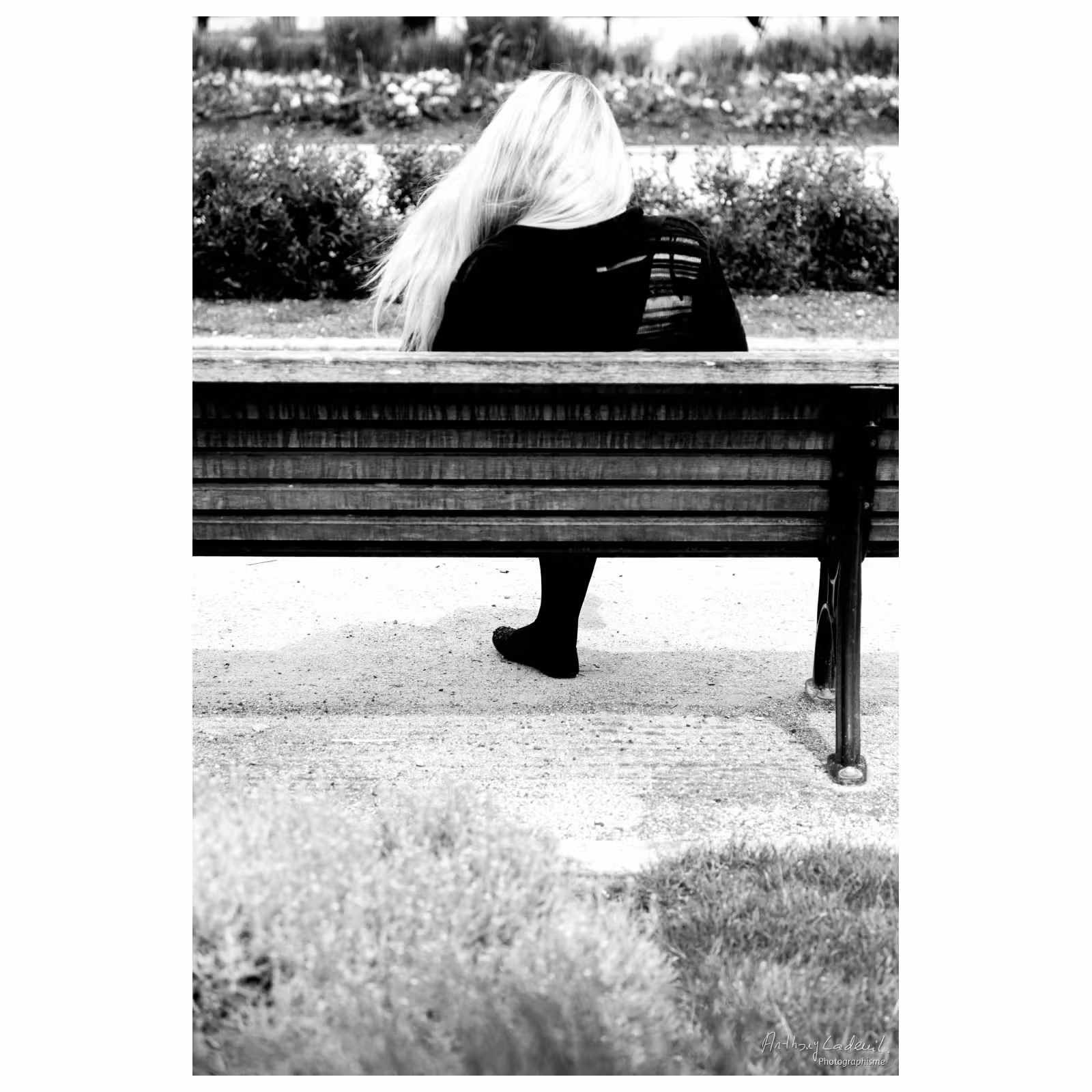 femme de dos assise sur un banc public