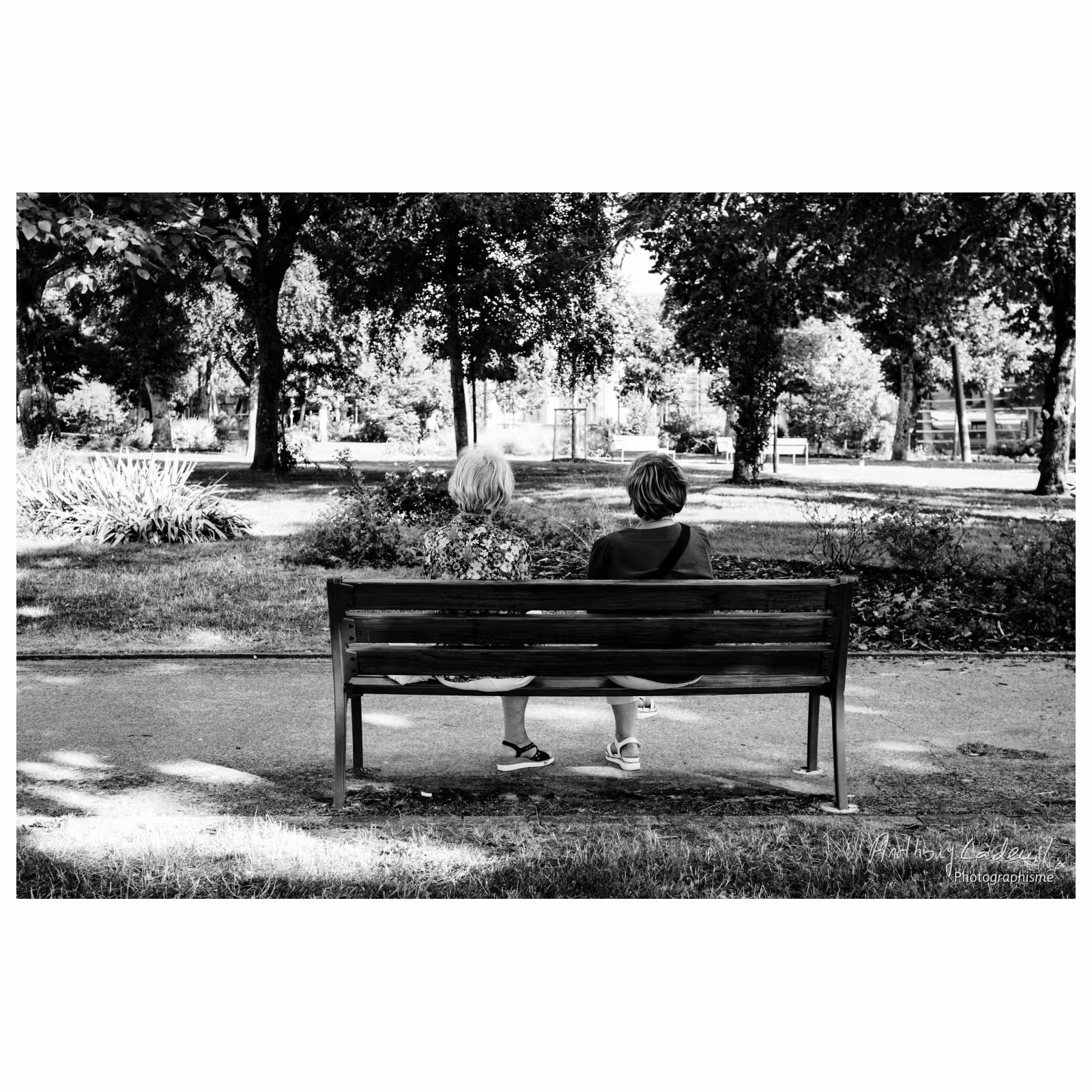deux femmes de dos assises sur un banc
