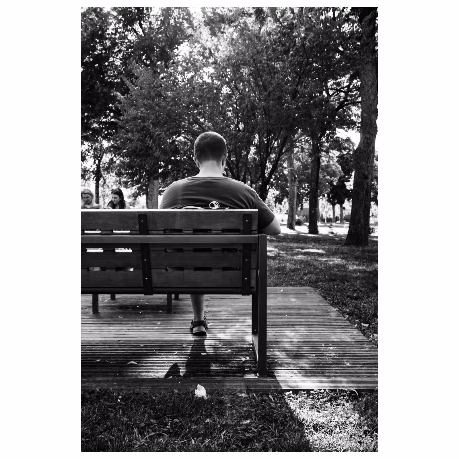 un homme de dos assis sur un banc