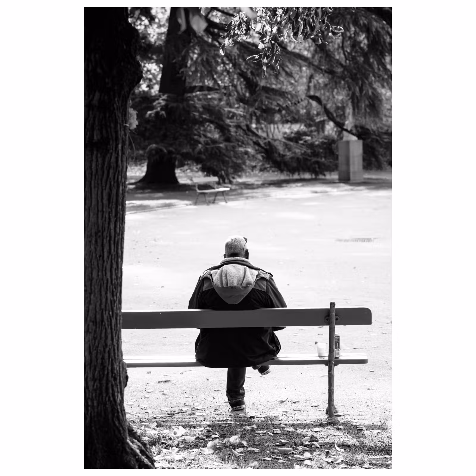 photographie de dos d'un homme assis sur un banc
