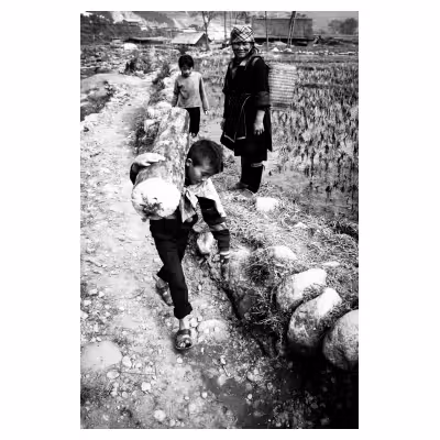 enfant vietnamien portant un gros tronc d'arbre en souriant sur un chemin