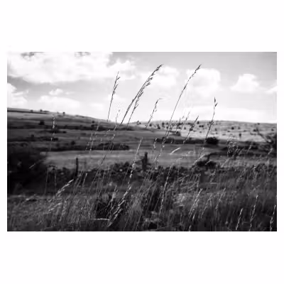 paysage des Causses