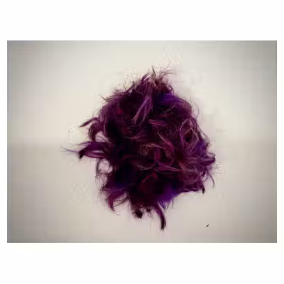 motte de cheveux teints en violet après une tonte