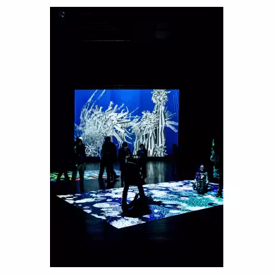 personnes en ombres sur une installation lumineuse dans une exposition