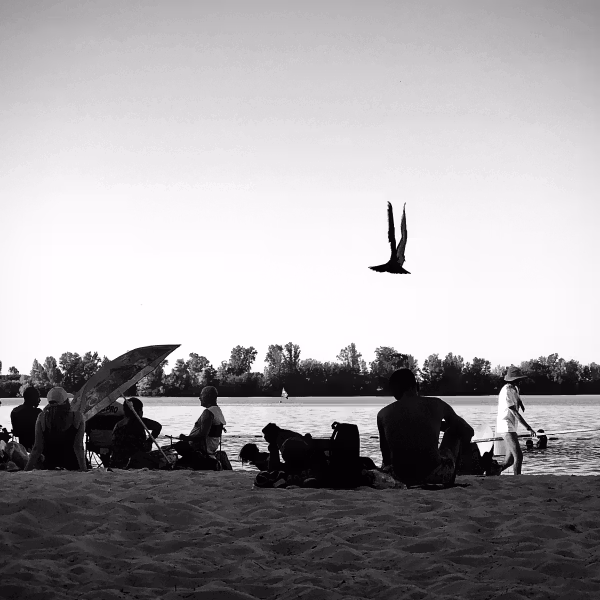 Photographie de la plage du Lac de Bordeaux